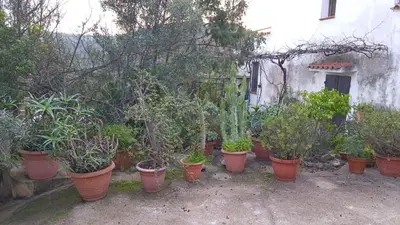 Giardino di Casa Alma