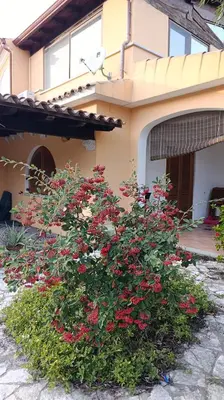 Giardino di KEVIN House