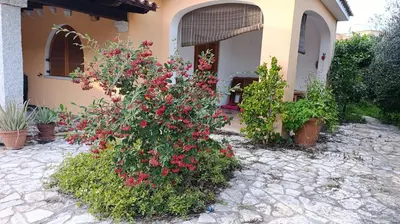 Giardino di KEVIN House