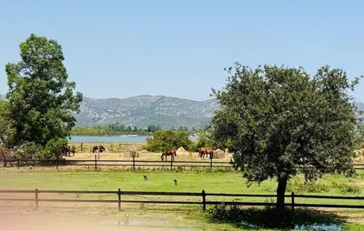 Paesaggio naturale nelle vicinanze della casa vacanze