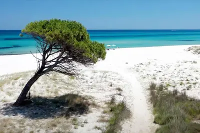 Paesaggio naturale nelle vicinanze dell'appartamento