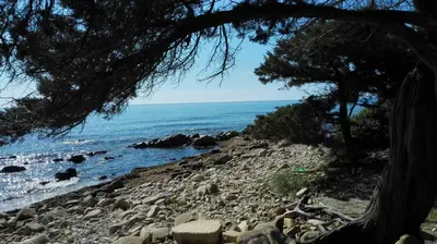 Paesaggio naturale nelle vicinanze dell'appartamento