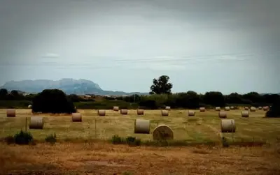 Paesaggio naturale nelle vicinanze del bed & breakfast