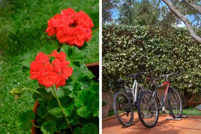 Attività di ciclismo presso l'appartamento o nelle vicinanze