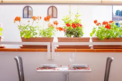 Planimetria di Orosei Home Holidays - I fiori