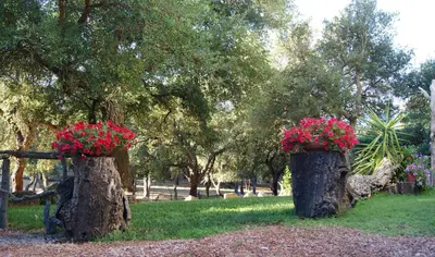 Giardino di Le Sughere
