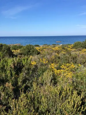 Paesaggio naturale nelle vicinanze del bed & breakfast