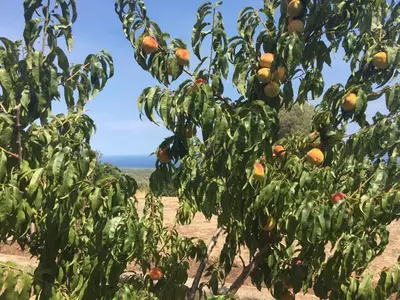 Paesaggio naturale nelle vicinanze dell'agriturismo