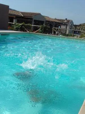 Piscina di Azienda Agrituristica La Janna di la Faj o nelle vicinanze