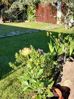 Giardino di Villa Pontes