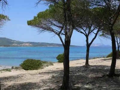 Paesaggio naturale nelle vicinanze dell'appartamento