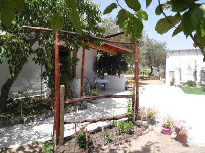 Giardino di Villa L'Oliveto