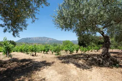 Paesaggio naturale nelle vicinanze della casa vacanze