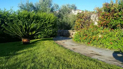 Giardino di Casa i Falchi
