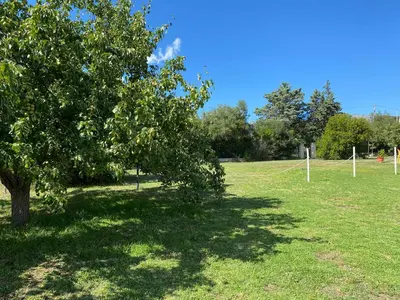 Giardino di La Maison di Zia Annina Olbia