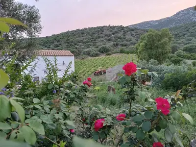 Paesaggio naturale nelle vicinanze dell'agriturismo