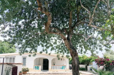 Giardino di Casa Matilde
