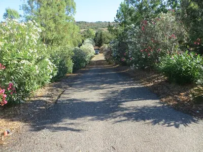 Paesaggio naturale nelle vicinanze del bed & breakfast