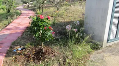 Giardino di La Calendula
