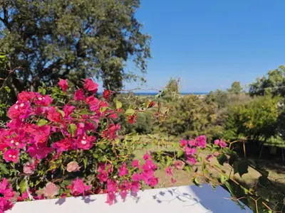Giardino di Villa vista mare