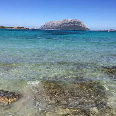 Casa Vacanze Cugusi