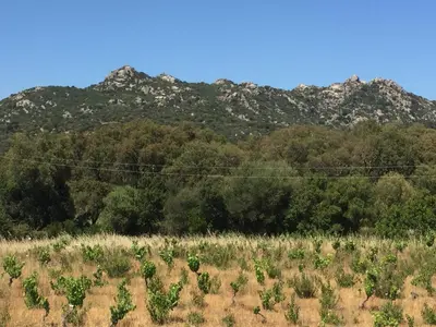 Paesaggio naturale nelle vicinanze dell'appartamento
