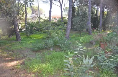 Giardino di Vacanze Sardegna Mare San Giovanni Posada
