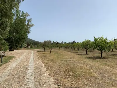 Paesaggio naturale nelle vicinanze dell'agriturismo