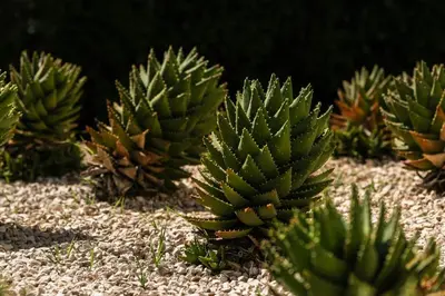 Planimetria di Delta Hotels by Marriott Olbia Sardinia