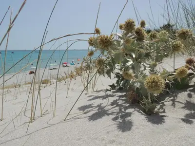 Paesaggio naturale nelle vicinanze del bed & breakfast