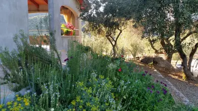 Giardino di S'umbra de S'ozzastru
