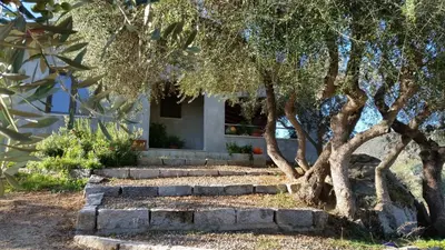Giardino di S'umbra de S'ozzastru