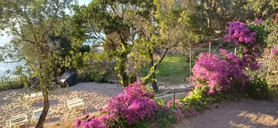 Paesaggio naturale nelle vicinanze della casa vacanze
