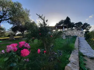Giardino di B&B La Taerra