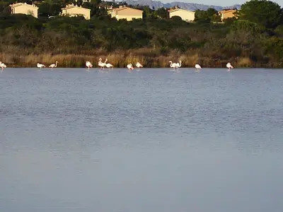 Paesaggio naturale nelle vicinanze dell'appartamento