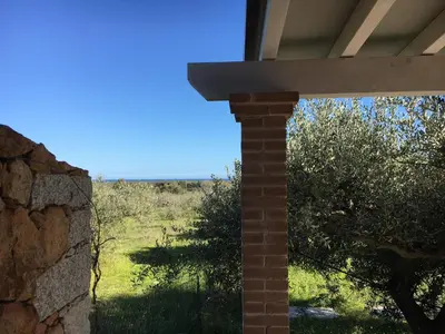 Paesaggio naturale nelle vicinanze of country house