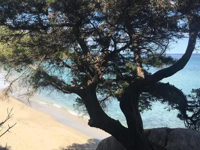 Paesaggio naturale nelle vicinanze dell'appartamento