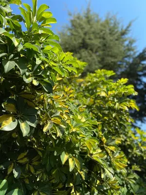Giardino di Tequila Rooms