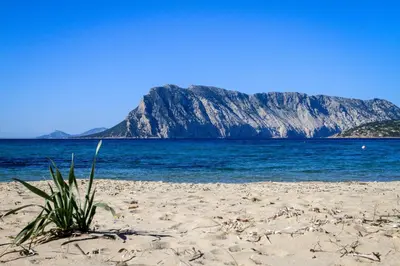 Paesaggio naturale nelle vicinanze dell'appartamento