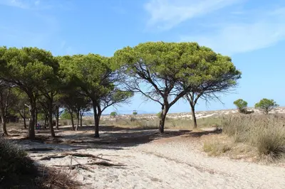Paesaggio naturale nelle vicinanze della casa vacanze