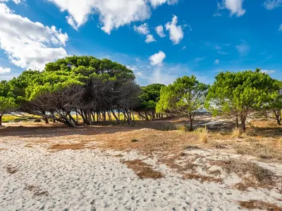 Paesaggio naturale nelle vicinanze della casa vacanze