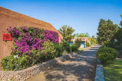 Giardino di MClub Budoni