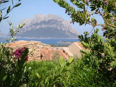 Paesaggio naturale nelle vicinanze dell'appartamento