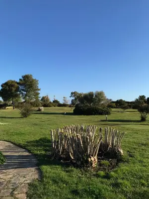 Paesaggio naturale nelle vicinanze della casa vacanze