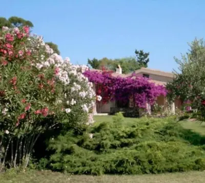 Giardino di Visit San Teodoro