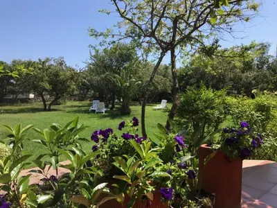 Giardino di Hotel Onda Marina