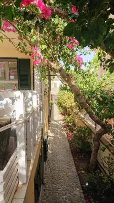 Giardino di Villa Babai