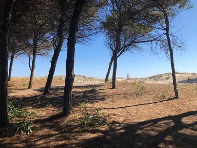 Paesaggio naturale nelle vicinanze della casa vacanze