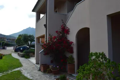 Vista generica sulle montagne o vista sulle montagne dall'interno dell'affittacamere