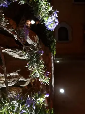 Giardino di A Lu Ponti